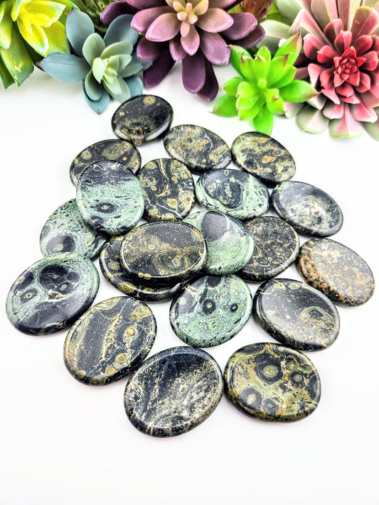 Kambaba Jasper Worry Stone