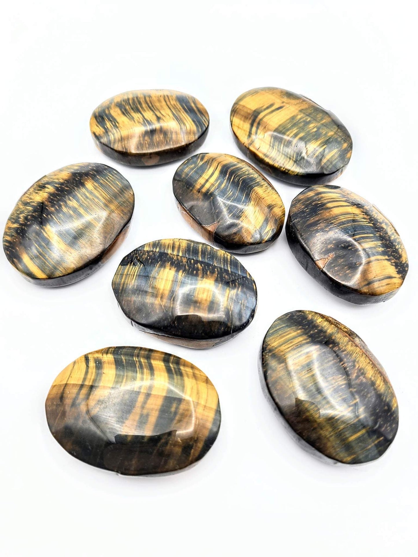 Blue Tigers Eye Palm